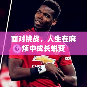 面对挑战，人生在麻烦中成长蜕变