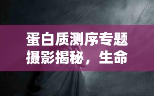 蛋白质测序专题摄影揭秘，生命之链的深邃奥秘