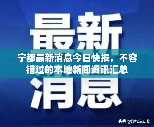 宁都最新消息今日快报，不容错过的本地新闻资讯汇总