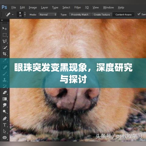 栖冲业简