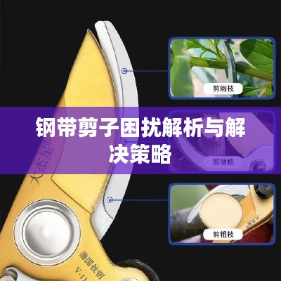 钢带剪子困扰解析与解决策略