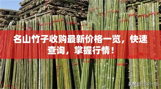 名山竹子收购最新价格一览，快速查询，掌握行情！