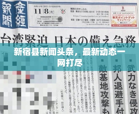 新宿县新闻头条，最新动态一网打尽