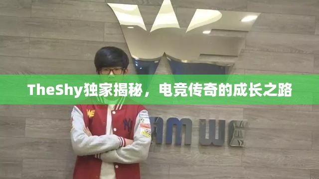 TheShy独家揭秘，电竞传奇的成长之路