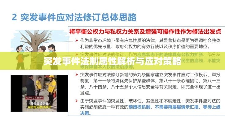 纲举目张