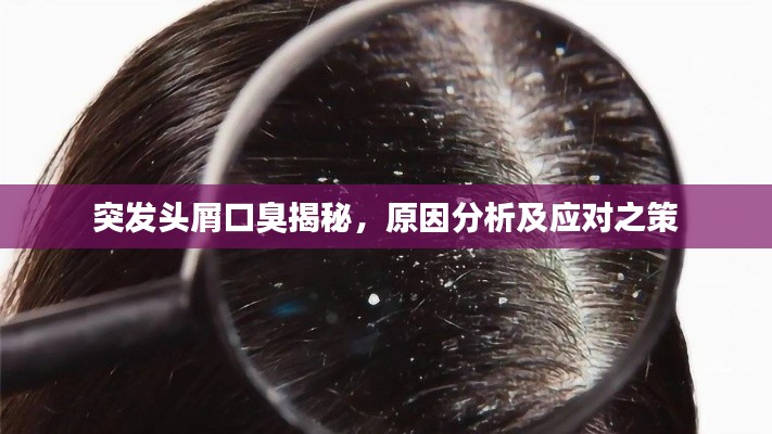 突发头屑口臭揭秘，原因分析及应对之策
