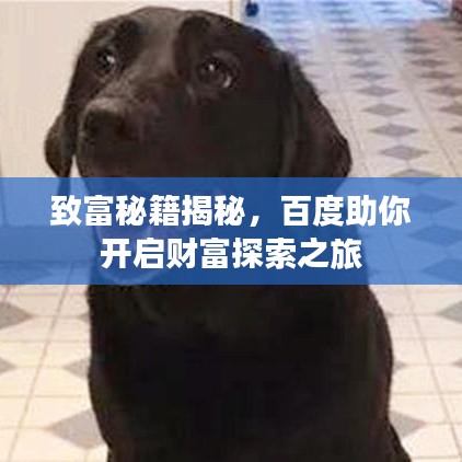 致富秘籍揭秘，百度助你开启财富探索之旅