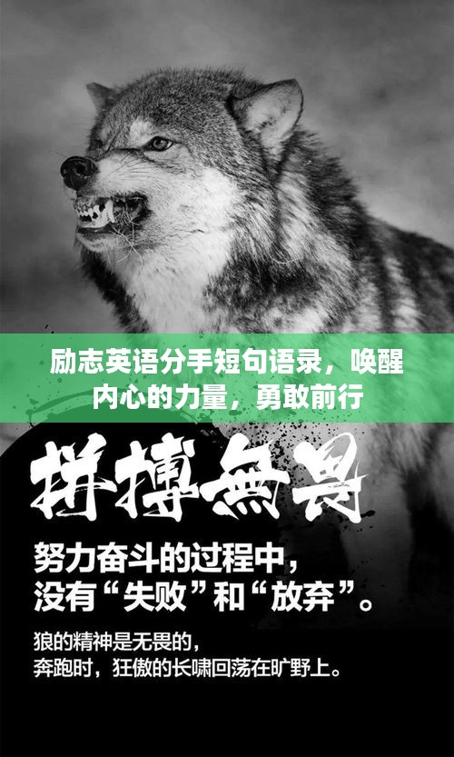 励志英语分手短句语录，唤醒内心的力量，勇敢前行