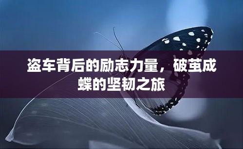 盗车背后的励志力量，破茧成蝶的坚韧之旅