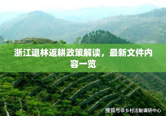 浙江退林返耕政策解读，最新文件内容一览