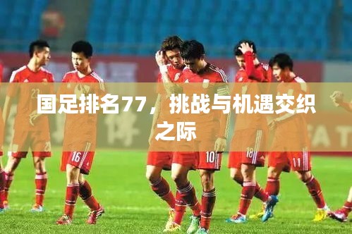 国足排名77，挑战与机遇交织之际