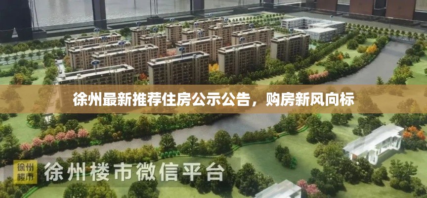 徐州最新推荐住房公示公告，购房新风向标