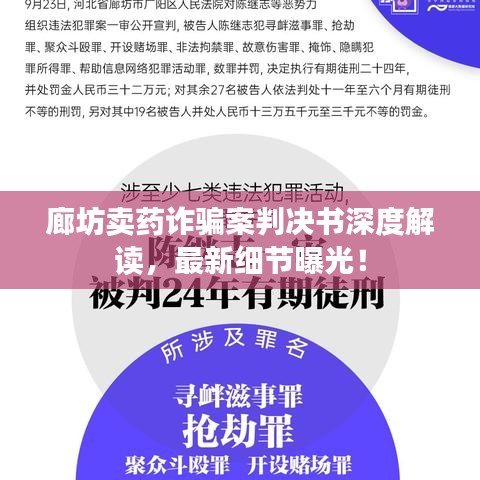 廊坊卖药诈骗案判决书深度解读，最新细节曝光！
