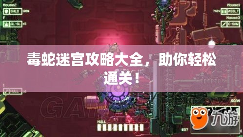 毒蛇迷宫攻略大全，助你轻松通关！
