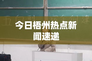 今日梧州热点新闻速递