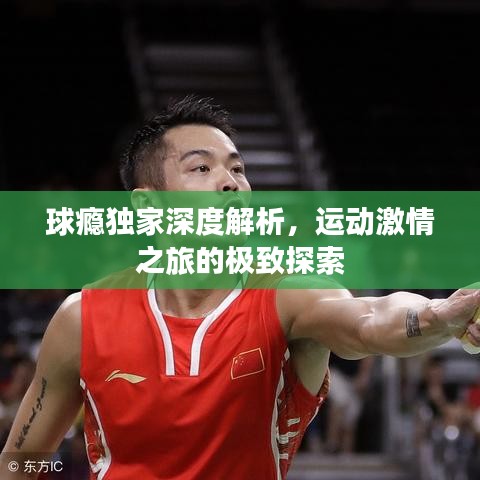 球瘾独家深度解析，运动激情之旅的极致探索