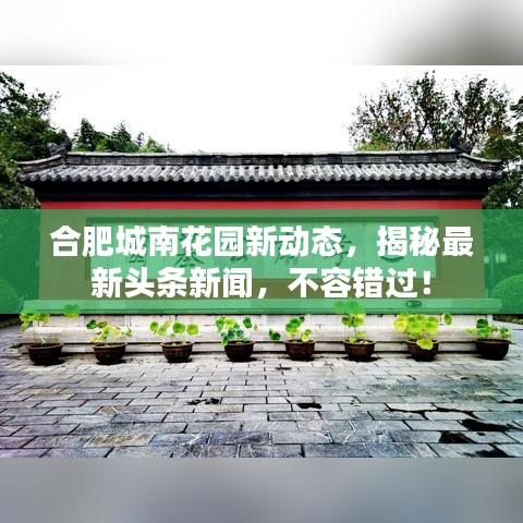合肥城南花园新动态，揭秘最新头条新闻，不容错过！