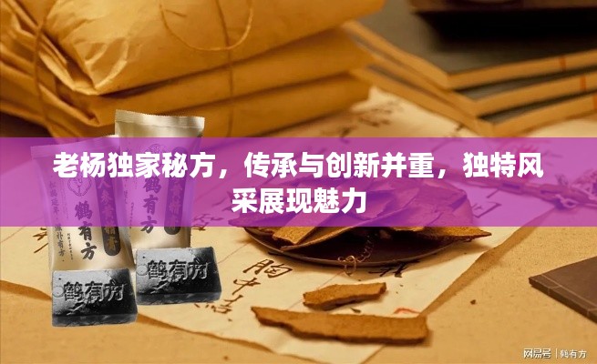 老杨独家秘方，传承与创新并重，独特风采展现魅力