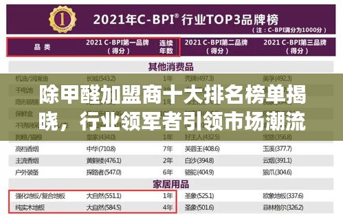 除甲醛加盟商十大排名榜单揭晓，行业领军者引领市场潮流