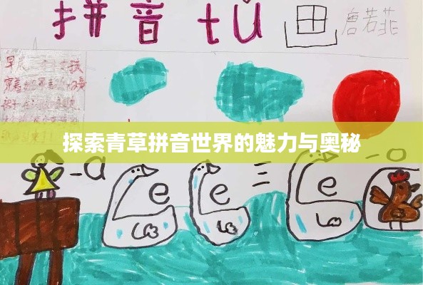 探索青草拼音世界的魅力与奥秘