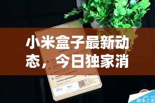 都中纸贵