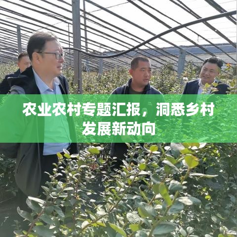 农业农村专题汇报，洞悉乡村发展新动向