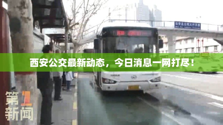 富贵骄人