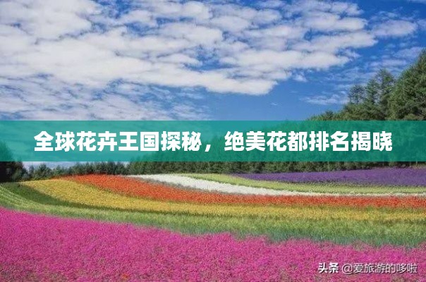 全球花卉王国探秘，绝美花都排名揭晓