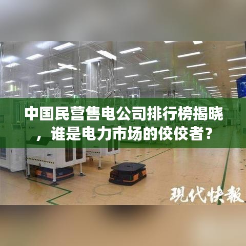 中国民营售电公司排行榜揭晓，谁是电力市场的佼佼者？