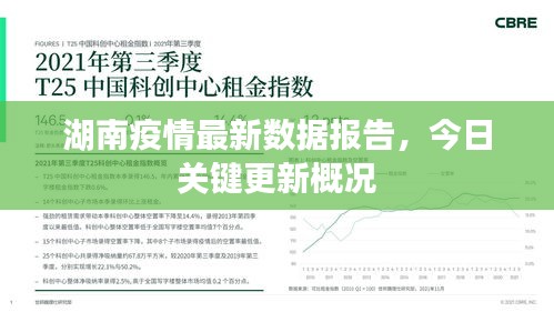 湖南疫情最新数据报告，今日关键更新概况