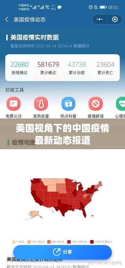 百鸟归巢