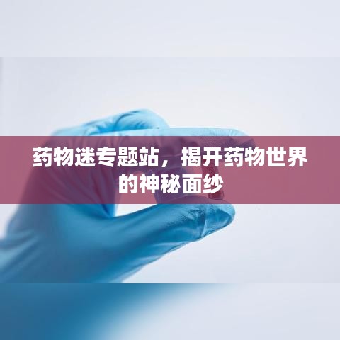 穷鸟入怀