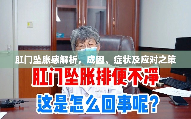肛门坠胀感解析，成因、症状及应对之策