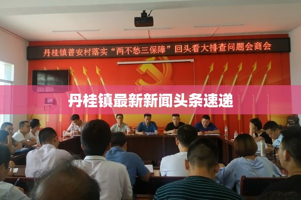 丹桂镇最新新闻头条速递