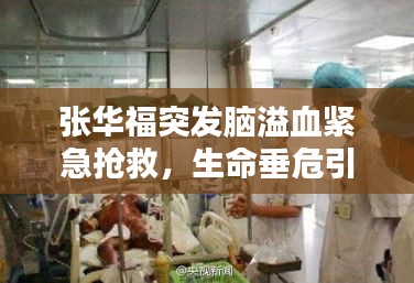 还淳反素