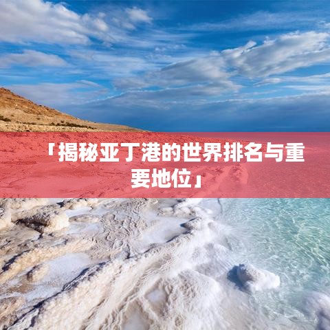坌鸟先飞