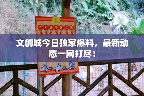 侃侃而谈