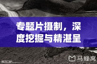 服务项目 第7页