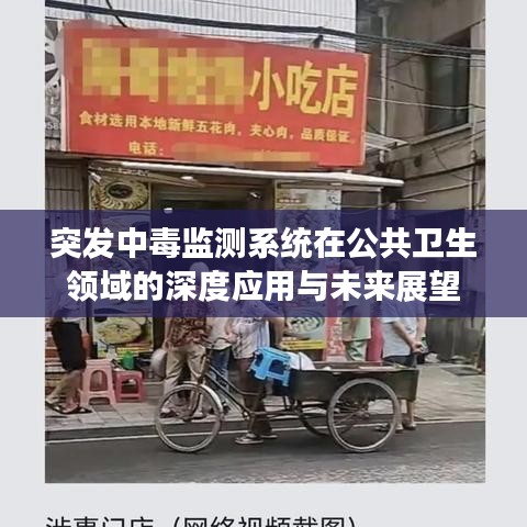 鸟飞兔走