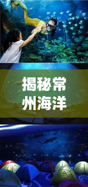 联系我们 第3页