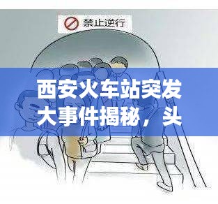 听见风就是雨