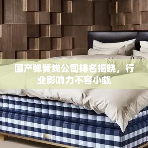 国产弹簧线公司排名揭晓，行业影响力不容小觑
