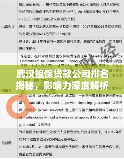 武汉担保贷款公司排名揭秘，影响力深度解析