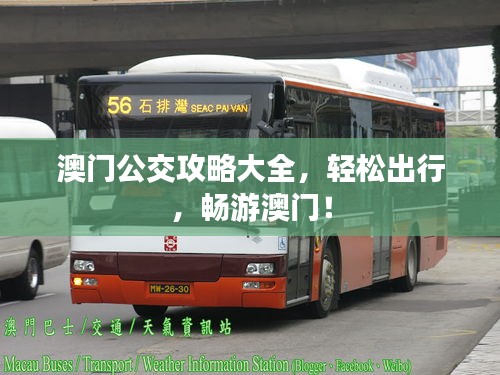 澳门公交攻略大全，轻松出行，畅游澳门！
