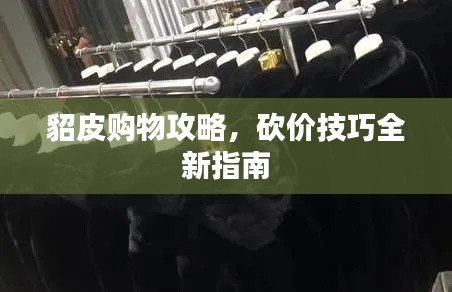 貂皮购物攻略，砍价技巧全新指南