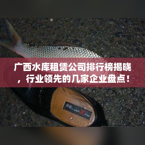 广西水库租赁公司排行榜揭晓，行业领先的几家企业盘点！