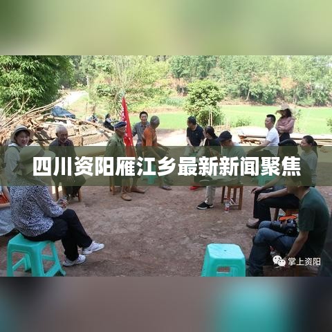 四川资阳雁江乡最新新闻聚焦