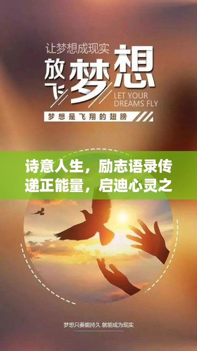 诗意人生，励志语录传递正能量，启迪心灵之旅
