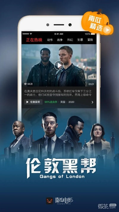 南瓜电影无会员版本,快捷解决方案问题-Executive_v3.721