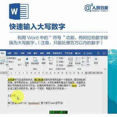 极速word官方下载,全面数据解释定义_特供版1_v10.561
